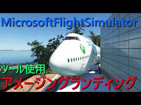 アメージング・ランディング Amazing Landings [MSFS2020] [Microsoft Flight Simulator]