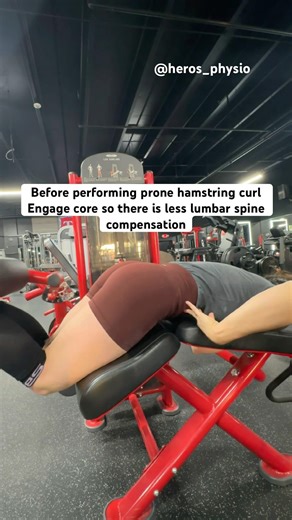 Prone hamstring curls