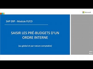 SAP FI/CO - Saisir des pré-budgets d'ordre interne (au global et par nature comptable)