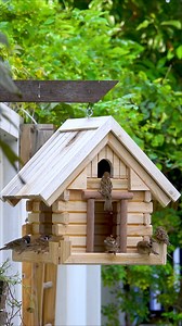 11K views · 43 reactions | Quick build, beautiful design — perfect for backyard birds! #DIYCrafts #WoodDIY #BirdFeederDesign #HandmadeWoodwork | Woodworking Tools | Facebook