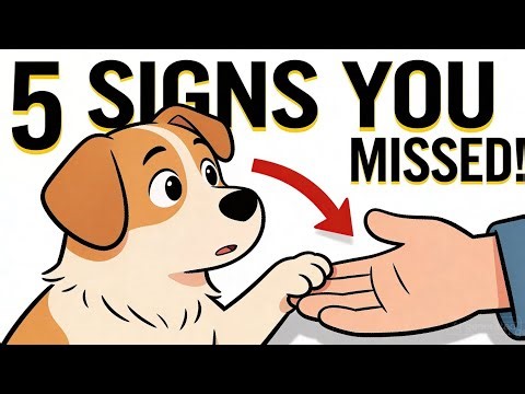 5 Signs You’re Misreading Your Dog (Most Owners Ignore This!
