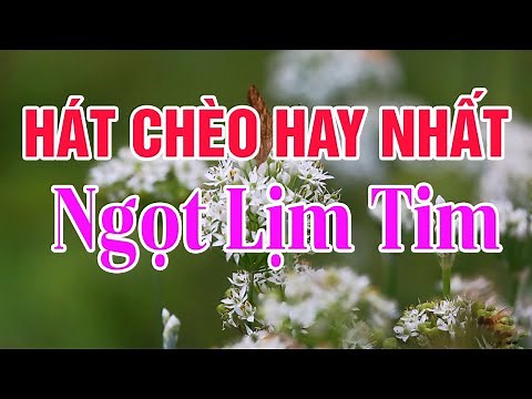 Hát Chèo Hay Nhất 2021 - Những Bài Hát Chèo Ngọt Lịm Tim
