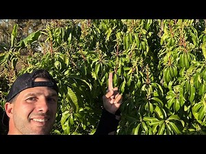 Carrie Mango in December