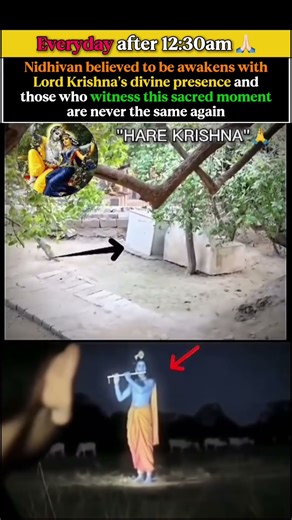Nidhivan awakens with Krishna and gopi’s divine presence #krishnabhakti #mysteriou #krishnam #gokula