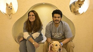 At Pet Café Hyderabad, rescued dogs and cats are the real stars