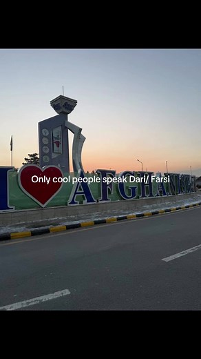 Understanding Dari and Farsi: Language Insights