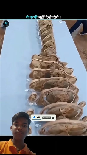 "Human Skeleton Sliced Open – You Won’t Believe What’s Inside! 🦴😱"