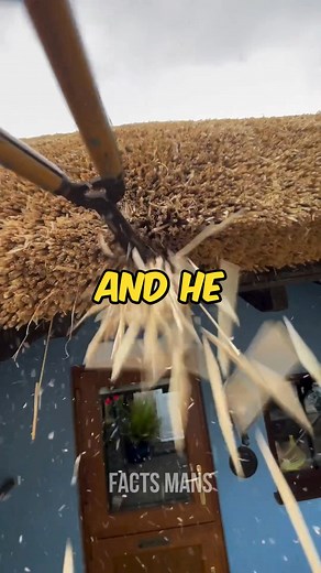 Taxi driver | Facts man