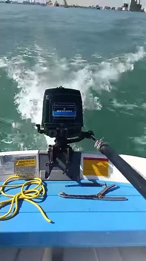 Walker Bay 8 with a 4 HP Mercury 2 stroke outboard