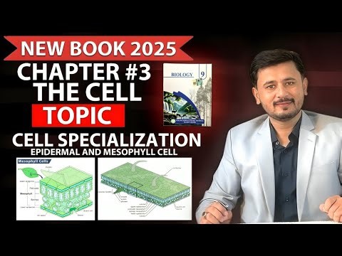 Cell specialization | Ch#3 | Class 9th biology new syllabus