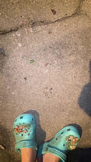 yall come over and help with the worm issue pls | june bugs larva
