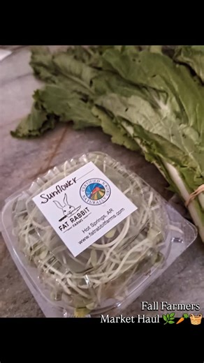 Weekend farmer’s market haul 🌻 Fresh, local, and full of life — exactly how we love to nourish our family support our community. 🥕 Every bite is medicine, every small choice matters. Some of our favorites, just to name a few: @fatrabbitfarms_hotsprings @humphreysdairyfarm @edensmemory --- #AlignedFamilyWellness #HolisticLiving #FarmersMarketFinds #EatLocal #LowToxLifestyle #NaturalLiving #WellnessInRealLife #HolisticMom #HealthyHabits #ArkansasWellness #RealFoodMovement #MindBodyAlignment #Wel