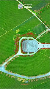 I found the most beautiful spring scenery in the world's largest sea of tea trees in #Guizhou 🍵 #SpringBreak #NatureLovers | Discover Guizhou