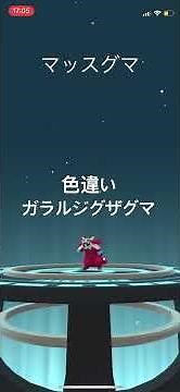 ポケモンGO 色違いガラルジグザグマ出現！色違いガラルマッスグマ、色違いタチフサグマへ進化！ #pokémon #ポケモン #ポケモンgo #pokemongo