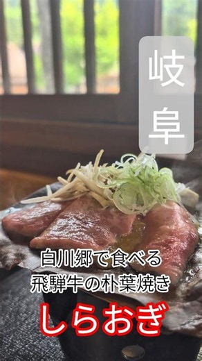 【白川郷】世界遺産の麓で、飛騨牛を喰らう。朴葉の上で味噌が焦げる香りが、俺の野生を呼び覚ます。 #白川郷グルメ #飛騨牛