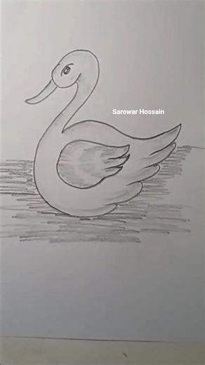 learn how to draw a beautiful Goose #shorts #shortsvideo