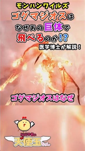[Monster Hunter Wilds] How can Gogmazios fly despite its huge size?! A medical doctor examines th...