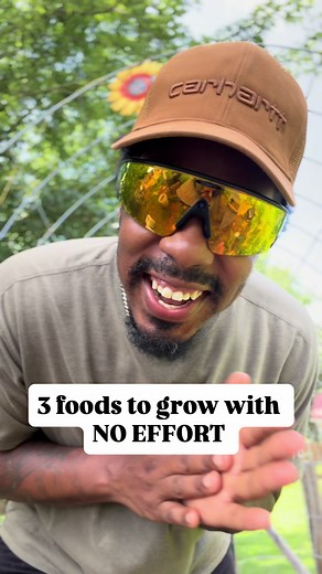 Easy Vegetables to Start Gardening: Sweet Potatoes, Okra, Zucchini