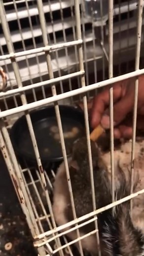 15 reactions · 6 comments | Human Tool Box on Reels | Facebook