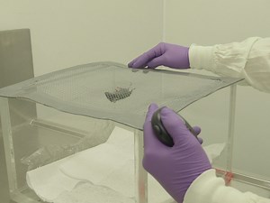 A Phenotyping Regimen for Genetically Modified Mice Used to Study Genes Implicated in Human Diseases of Aging