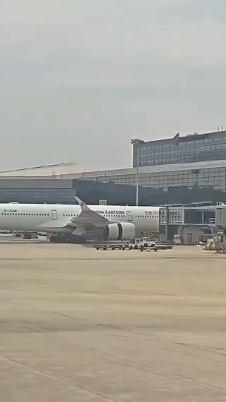 Total brake system failure. Check out the fault messages.... thrust reversers were the only lifeline. A full collapse of all five redundant braking modes is almost unthinkable. Each wheel group is independent, yet everything failed. Airbus has serious work ahead.