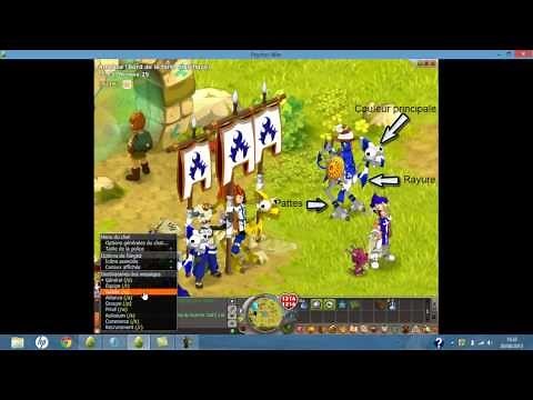 [TUTO DOFUS] Comment bien choisir la couleur de sa dragodinde caméleone + présentations