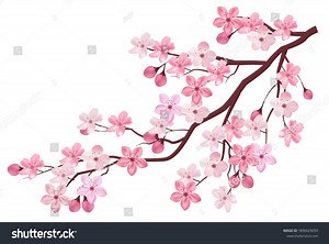 Cherry Tree Flower Spring Icon Stock Vector (Royalty Free) 1896629059 | Shutterstock