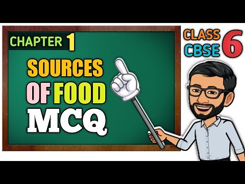 CBSE Class 6 Science | Chapter 1 | Sources of Food | MCQ