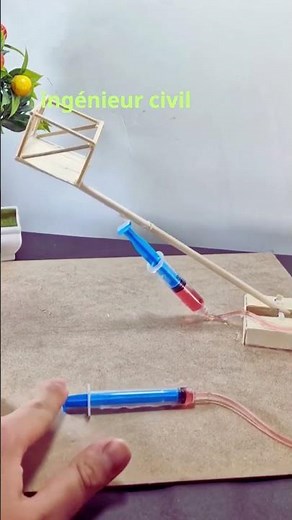 DIY Hydraulic Lift using Syringes | Easy Science Project