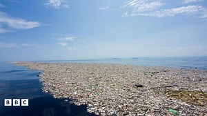 Ocean pollution: 'Stop polluting our oceans or face disaster' warns WWF