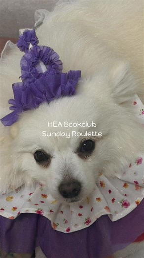 Our model debuts🤍 | sewing a DIY dog party hat | happybirthday to my dog #sewingtutorial #petaccessories #petfashion #HEABookclub