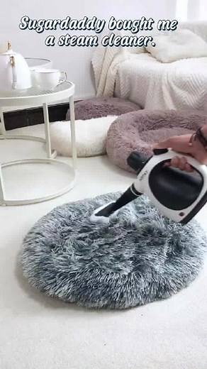 1.9K views | Explosive Cleanliness Unleashed!  Discover the Power of the New Steam Cleaner Today! #CleanFreak #SteamCleaning #HomeCleaning #EcoFriendly #Sanitize | Natalie Daily | Facebook