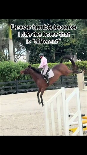 Grateful for My Unique Horse