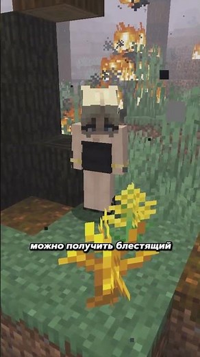 Realistic Forest Mod #minecraft #mods