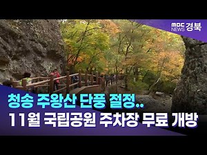Cheongsong Juwangsan Mountain Fall Foliage Peaks... National Park Parking Lots Open Free of Charg...
