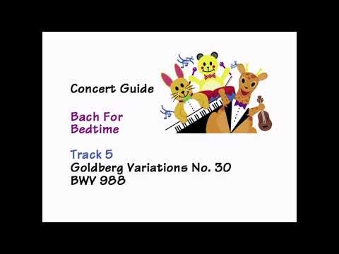 Baby Einstein Concert Hall Bonanza: Baby Bach Bedtime
