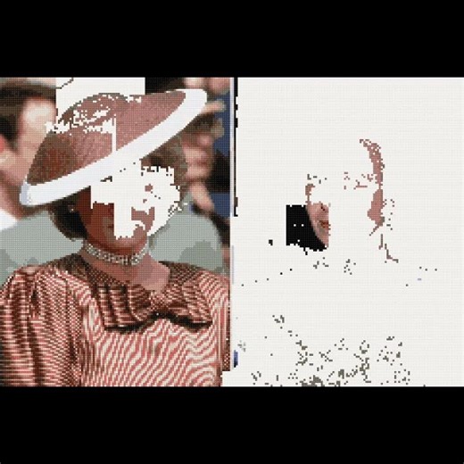 Princess Anne and Diana Princess of Wales 1981 1996