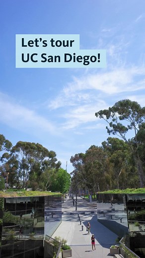If you're making a decision about what campus to apply for in your UC application, here's a peek at what @UC San Diego is like! 🌊🔱🌴 #UCSD #UniversityofCalifornia #collegeapplication #apply #california #bestcolleges #UCSanDiego