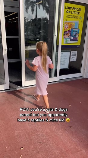 Baby Mice and Cute Geckos at Petco