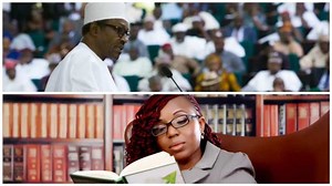 Fiscal federalism in Nigeria Problems and solutions