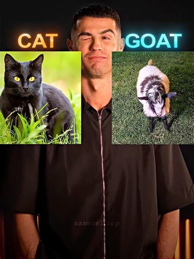 Ronaldo Loves Cats❤️‍🩹#football #edit #shorts
