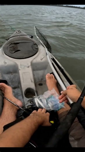 Shark Double Hook Up #shorts #fishing