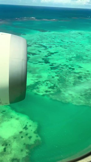 27K views · 904 reactions | No better feeling than to touch down on Samoan soil   @nats_life_at_42 | Samoa Tourism | Facebook