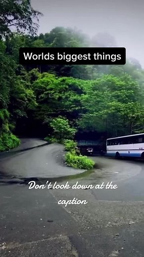 Worlds biggest things #xybca #foryou #fyp #viral #fypシ | titanoboa snake