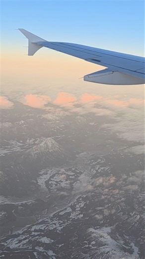 Lufthansa Airbus A319-100 flying over the Alps