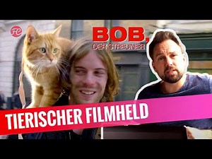Bob, der Streuner Kritik Review | Steven Gätjens FRISCHE FILME | FredCarpet