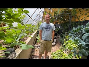 Finches and Frogs| how to create natural pest control in a greenhouse