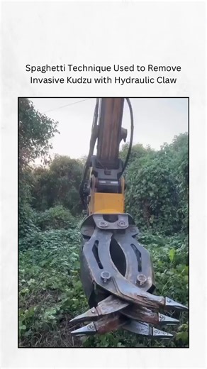 Removing Kudzu with Hydraulic Claw Technique