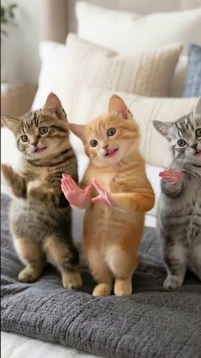 Synchronized Kitten Dance Party! 🐾 #cuteanimals #catdance #dancingcat