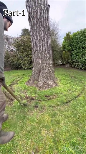 #foryouu #fyp #fryyyyyyyyyyyyyyyyyyyyyyyyy